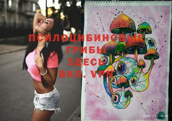 крисы Киреевск